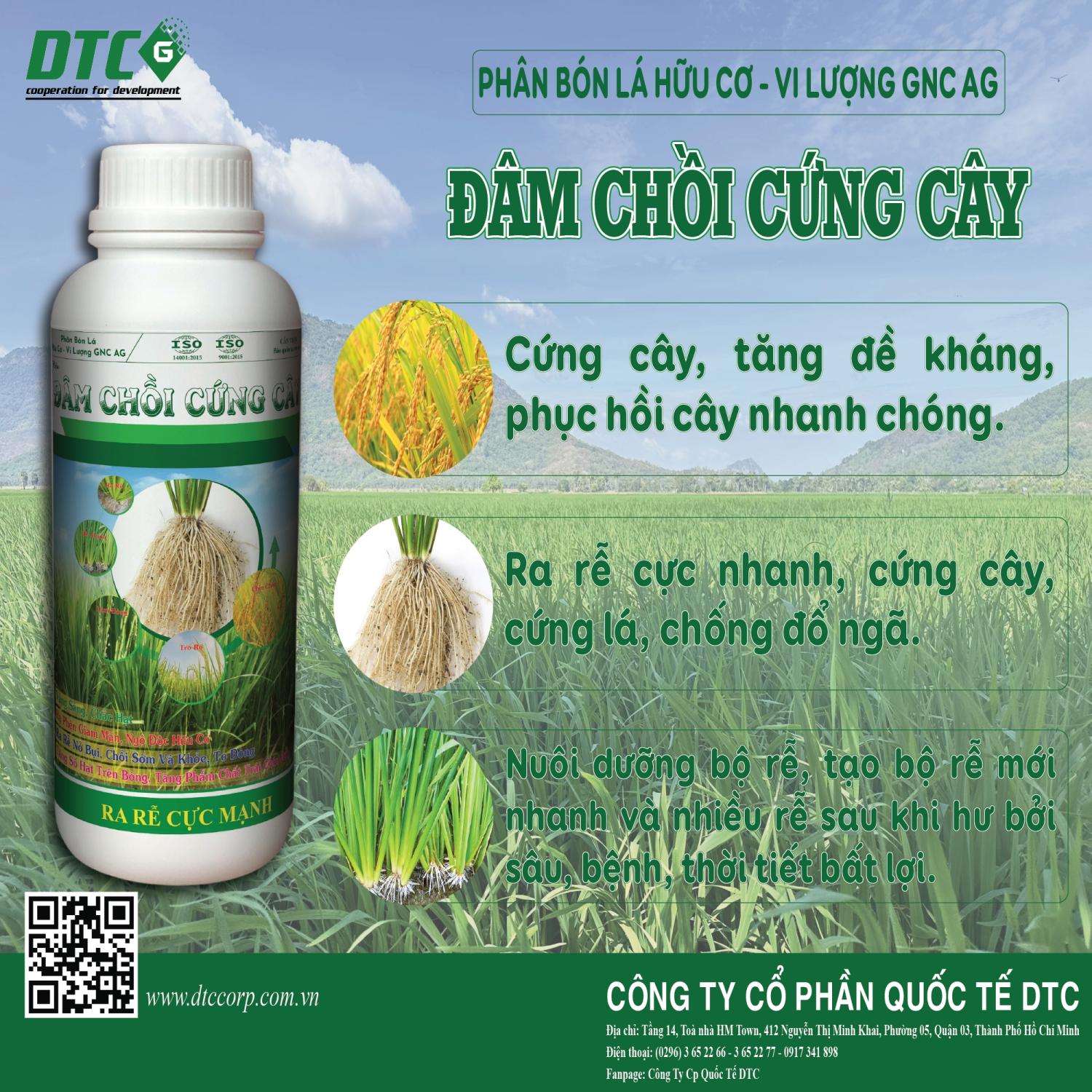 ĐÂM CHỒI CỨNG CÂY