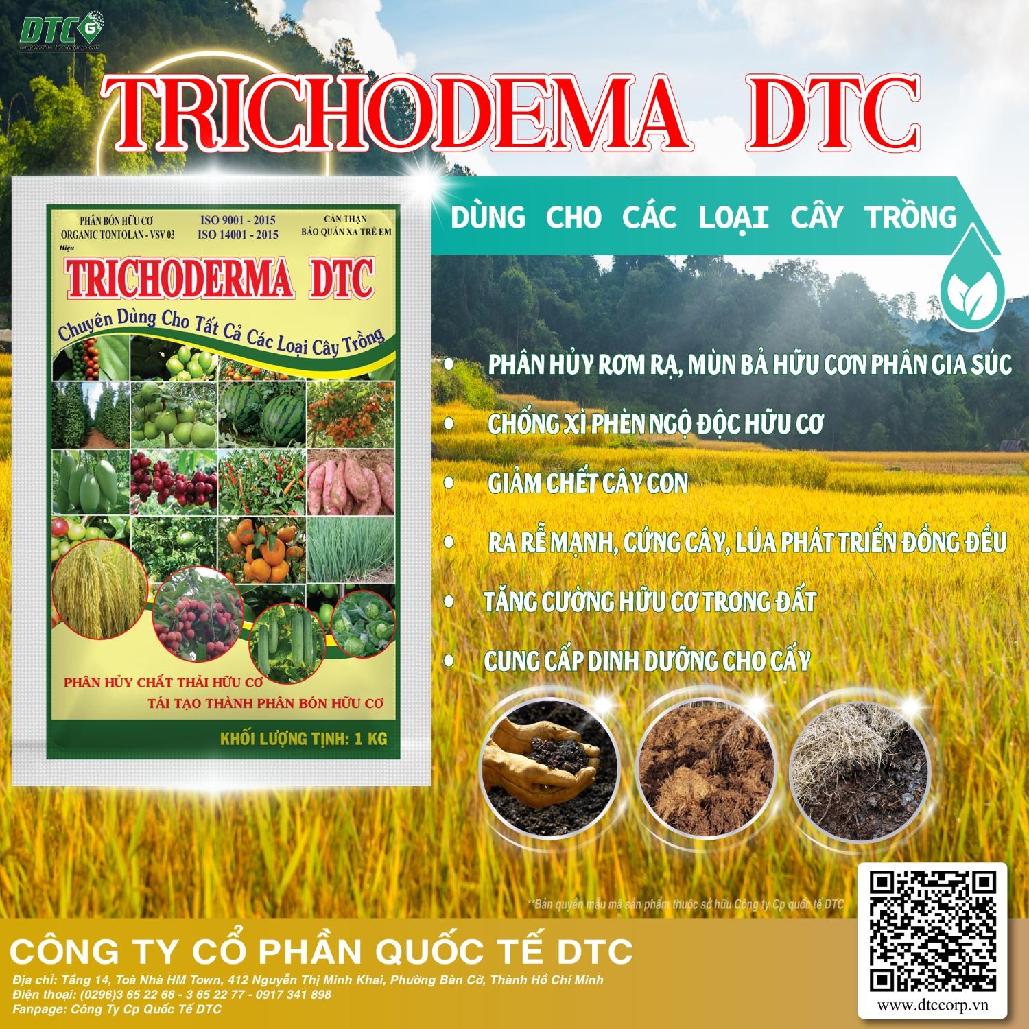 PBHC ORGANIC TOTOLAN - VSV 03 Hiệu TRICHODERMA DTC