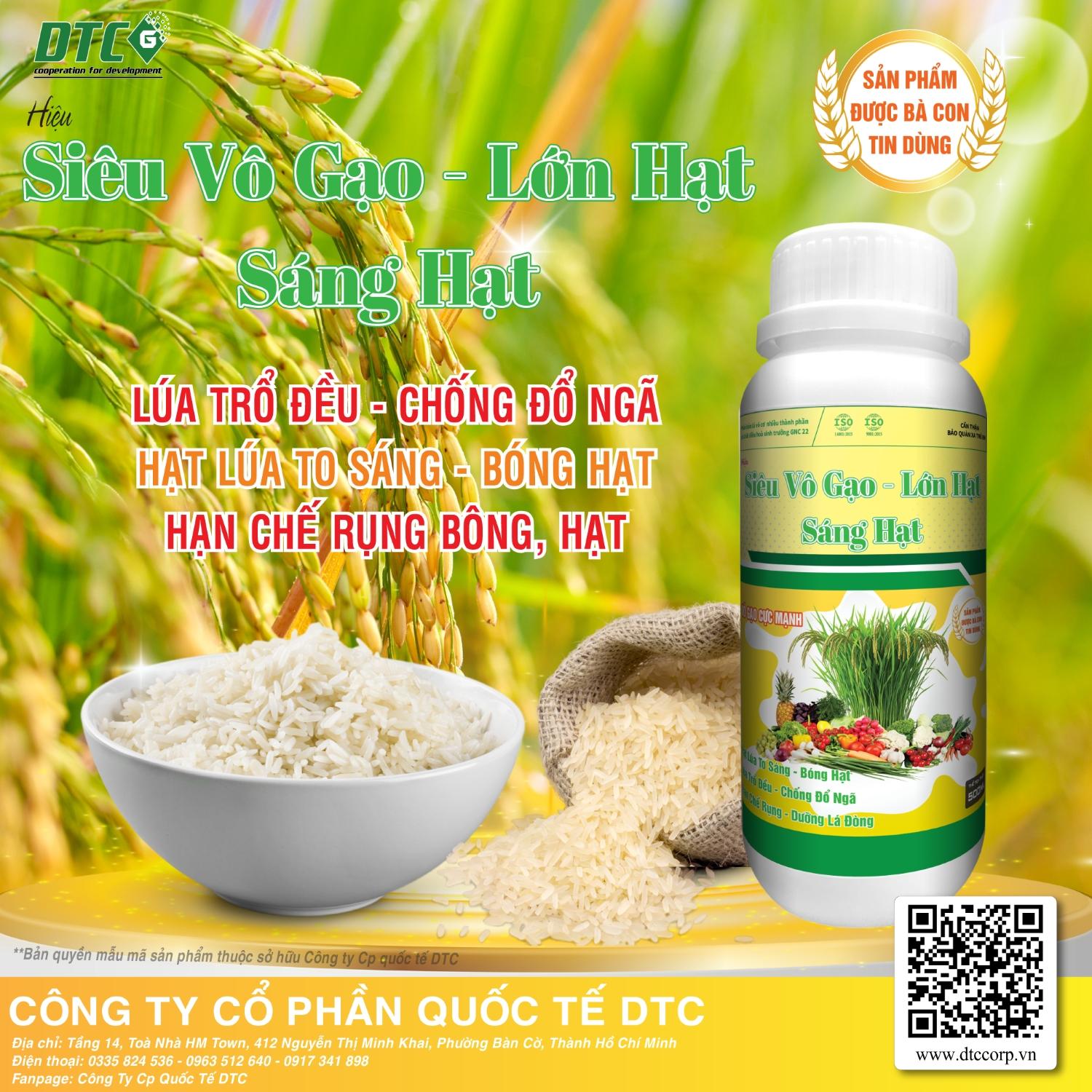 PBLVCNTP CÓ CHẤT ĐHST Hiệu SIÊU VÔ GẠO - LỚN HẠT - SÁNG HẠT