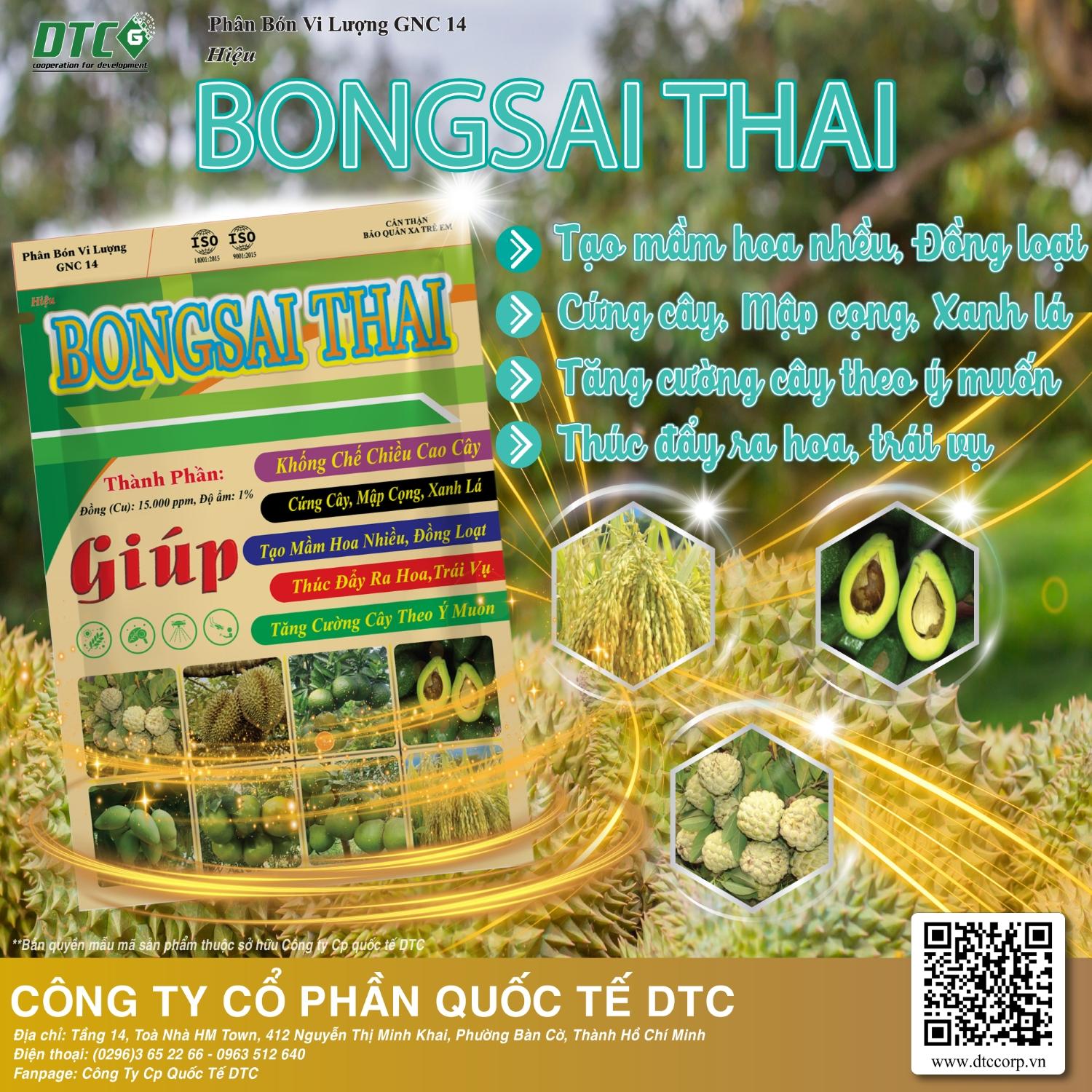 PBVL GNC 14 Hiệu BONGSAI THÁI