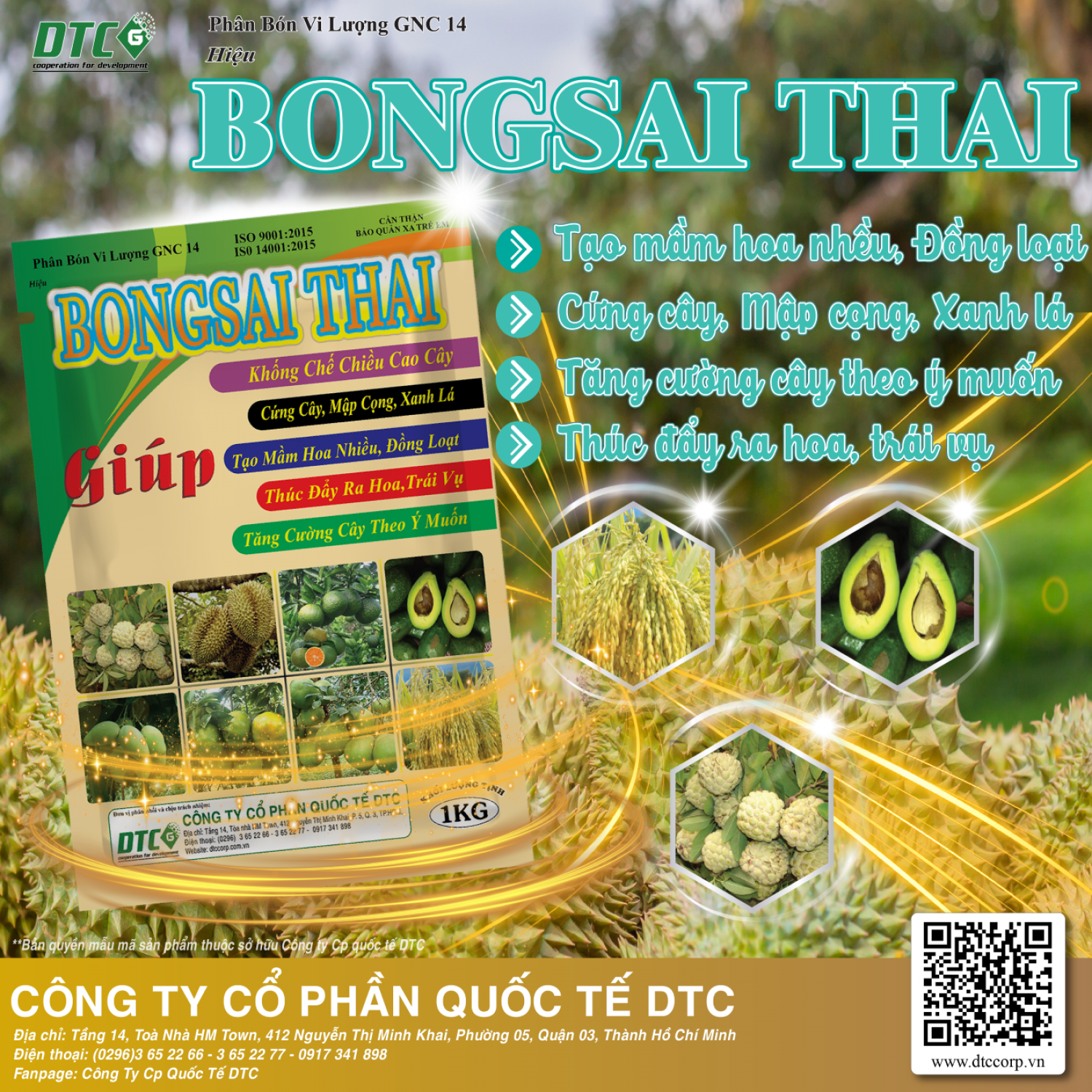 PBVL GNC 14 Hiệu BONGSAI THÁI