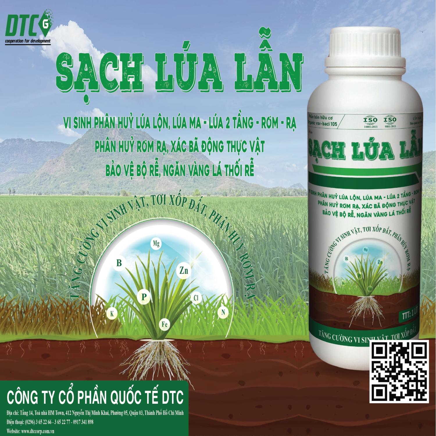 SẠCH LÚA LẪN